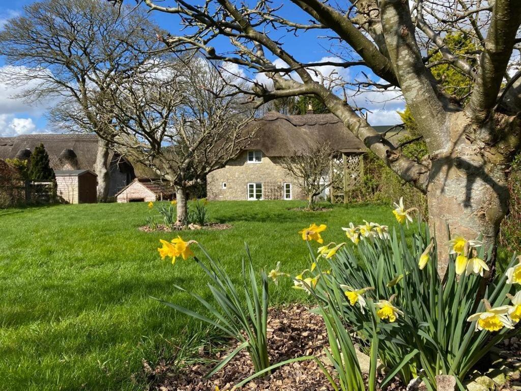 Kings Cottage - Heart Of The Deverills - Ev Point Warminster Exterior photo